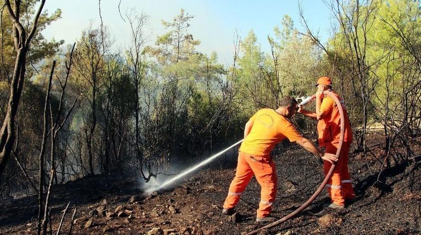 Antalya&rsquo;a Orman Yangını