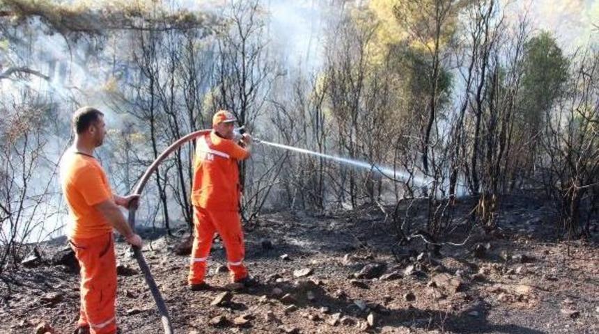 Kumluca'da Orman Yangını