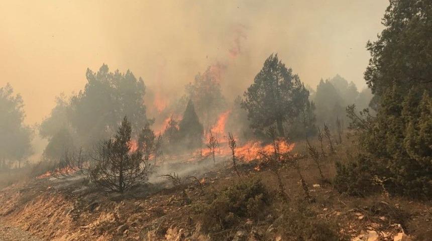 (&ouml;zel Haber) Dursunbey&rsquo;de Yaklaşık 100 Hektar Alan Yangında Zarar G&ouml;rd&uuml;