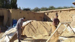 Oda Başkanı Aşkan’dan Çiftçilere Ziyaret