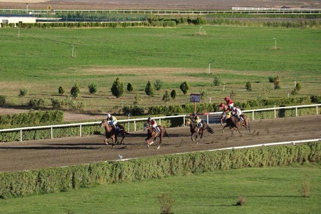 Diyarbakır’da Seyislik Kursunu Bitirenlerin İşi Hazır