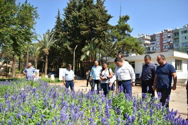 Kepez Zeytin Bah&ccedil;esi Olacak 2