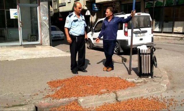 Ak Parti İl&ccedil;e Başkanı: Partimin &Ouml;n&uuml;ne Fındık D&ouml;km&uuml;şler Gelin Temizleyin 2