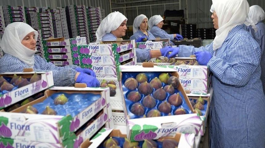 Bursa Siyahı, &Uuml;reticinin Y&uuml;z&uuml;n&uuml; G&uuml;ld&uuml;r&uuml;yor