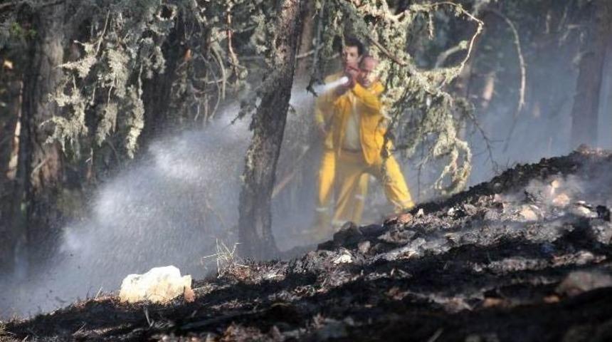 K&uuml;tahya&rsquo;daki Orman Yangınlarında S&ouml;nd&uuml;rme Ve Soğutma &Ccedil;alışmaları S&uuml;r&uuml;yor