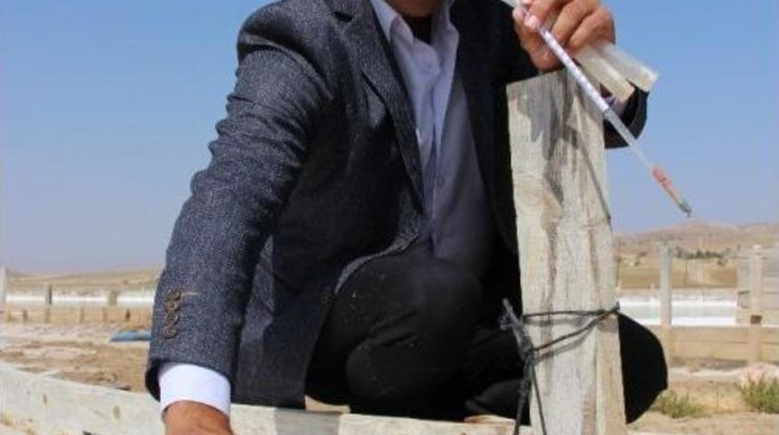 Tuzlu Kaynak Suyu Bir&ccedil;ok Derde Deva