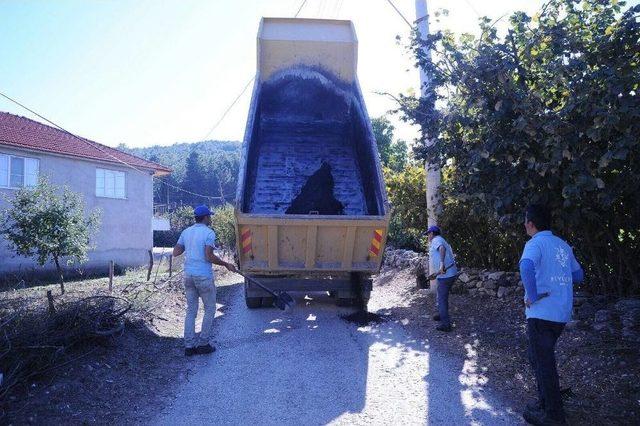 Büyükşehir Kuyucak’ta Yolları Asfaltlıyor