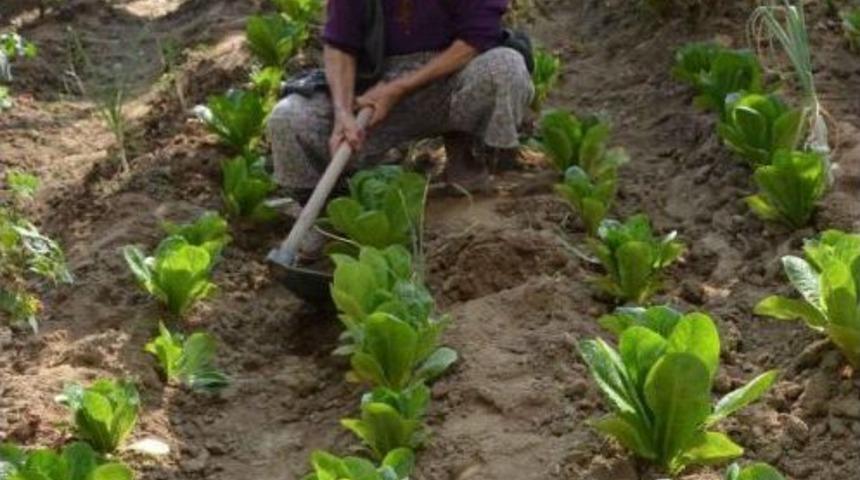 Fatma Nine, Yaşına Meydan Okuyor