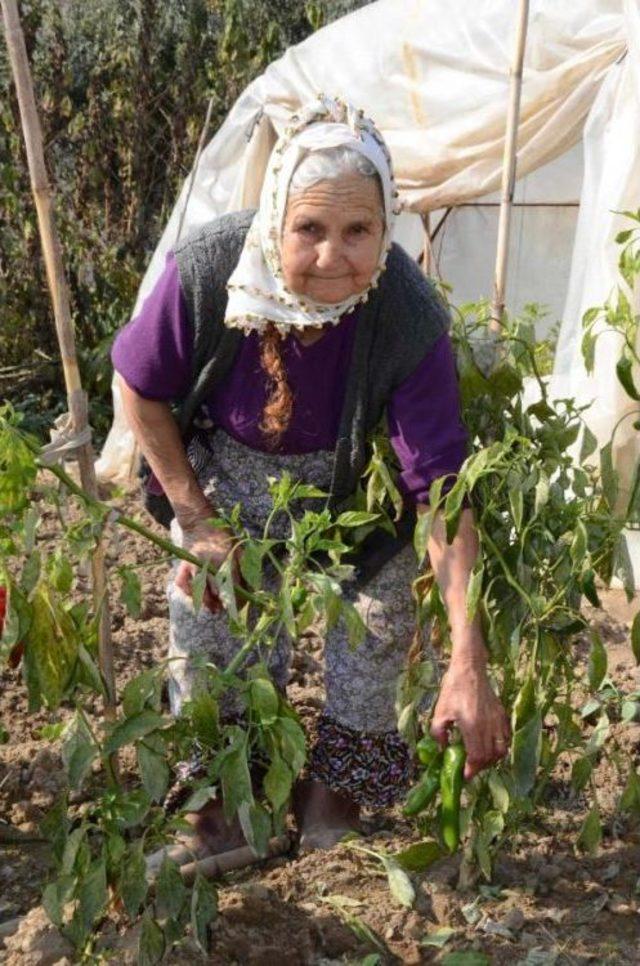 Fatma Nine, Yaşına Meydan Okuyor