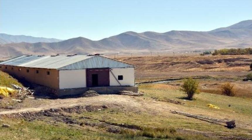 Kadın Girişimci, &Ccedil;iftliğine Depremde &Ouml;len&nbsp;Japon Doktor&nbsp;Miyazaki'nin Adını Verdi