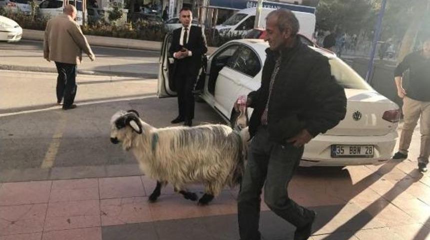 Ke&ccedil;isini Yanından Ayırmıyor