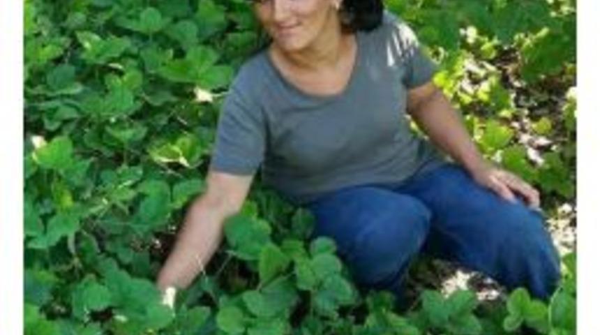 Silaj Makinesi Gen&ccedil; Kadının Kollarını Koparttı