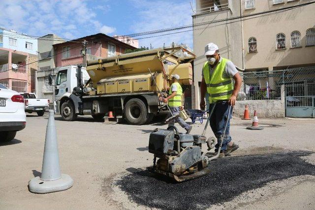 Aski, Kış Hazırlıklarını S&uuml;rd&uuml;r&uuml;yor 1