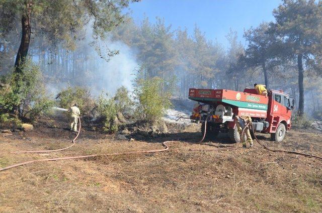 Adana&rsquo;da Orman Yangını 3