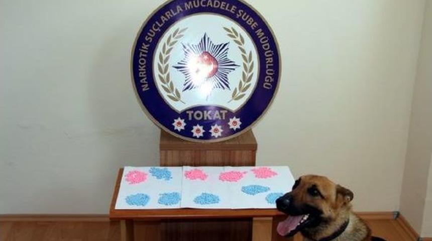Tokat Merkezli Uyuşturucu Operasyonu: 12 G&ouml;zaltı