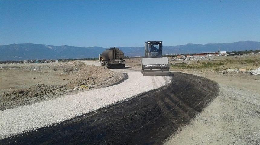 Zeytincide Yol Sevinci