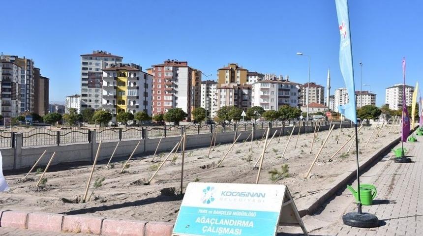 Kocasinan Belediyesi, Ağa&ccedil;ları Toprakla Buluşturmaya Devam Ediyor