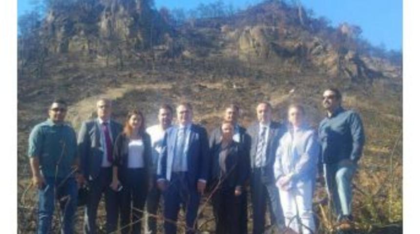 İzmir Barosundan Yanan Orman İ&ccedil;in Kampanya