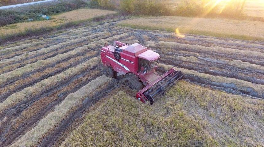 Sinop&rsquo;ta &Ccedil;eltiğin Son Demleri