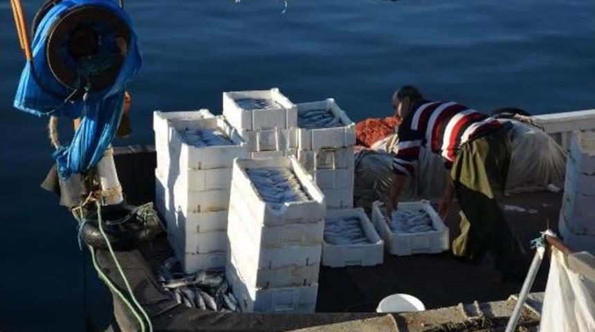 Balık&ccedil;ı Kardeşler,&nbsp;Bir Gecede 2 Bin 400 Palamut Yakaladı