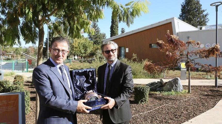 Ab&rsquo;den T&uuml;rkiye&rsquo;ye Zeytin Dalı