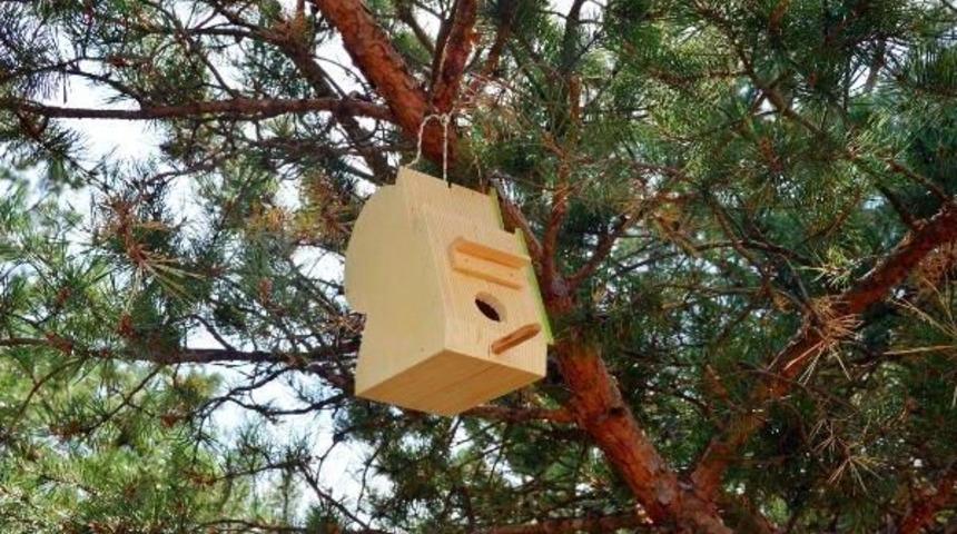 Yozgat'ta Ormanlık Alanlara Bin Ahşap Kuş Yuvası