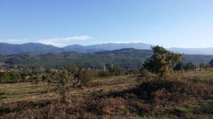 G&ouml;khan Ve Hakan &Ouml;zoğuz Kardeşler, Kazdağları'nda Tarla Aldı