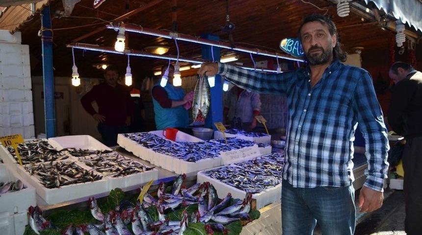 Trabzon&rsquo;da Sezonun En Bol Hamsi Ve Palamut Avı Y&uuml;zleri G&uuml;ld&uuml;rd&uuml;