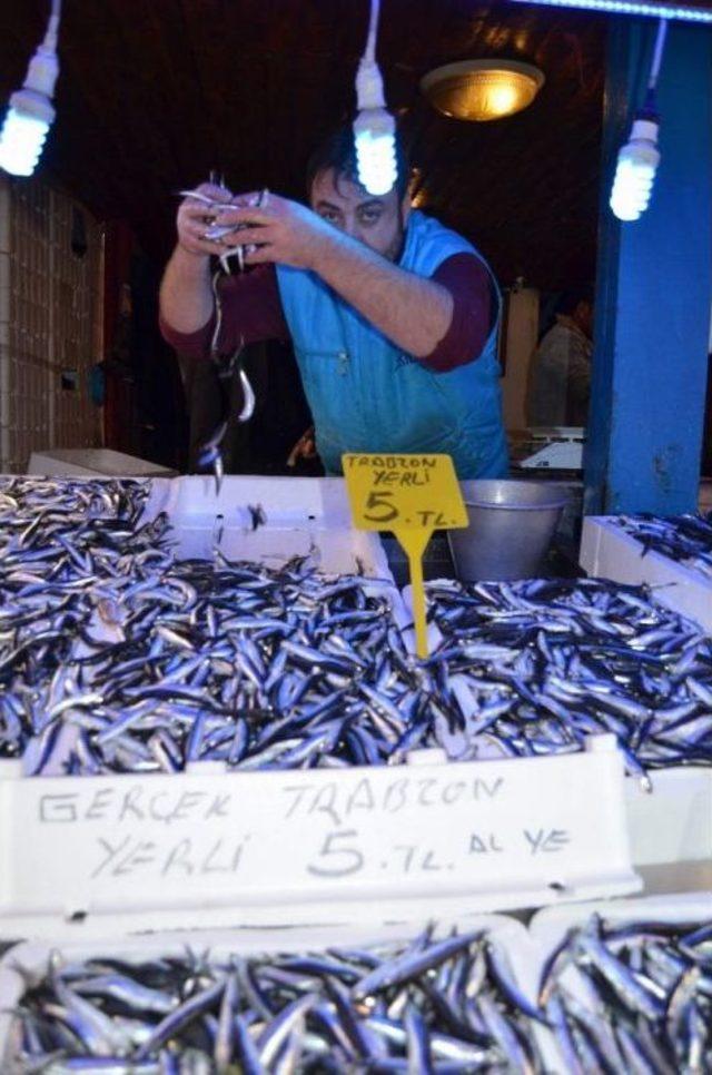 Trabzon&rsquo;da Sezonun En Bol Hamsi Ve Palamut Avı Y&uuml;zleri G&uuml;ld&uuml;rd&uuml; 1