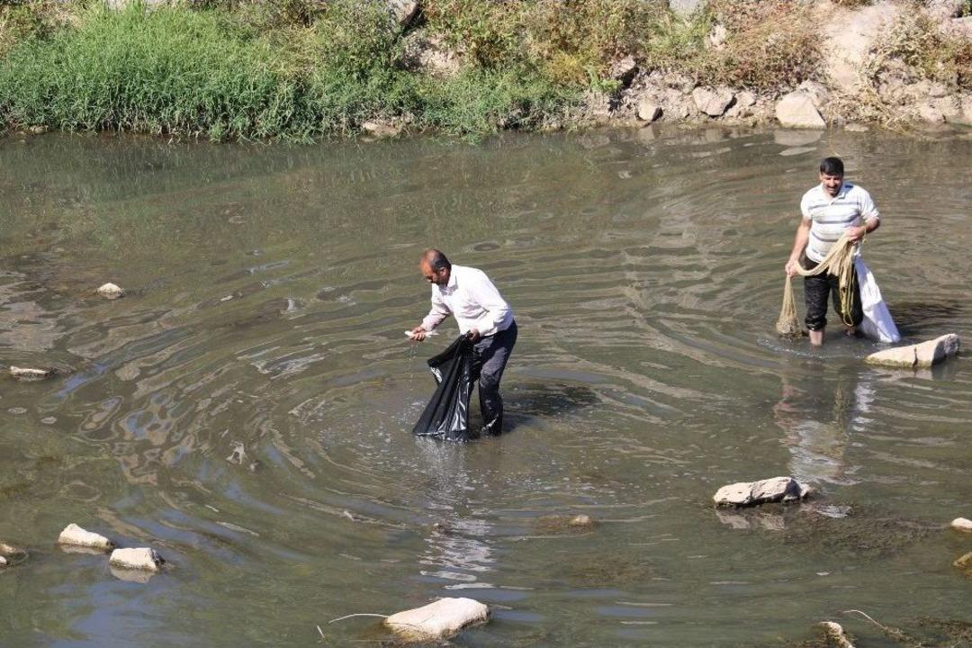 Dicle&rsquo;de Toplu Balık &Ouml;l&uuml;mleri