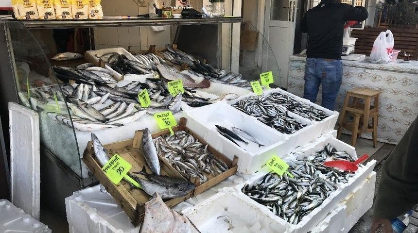 Karadeniz&rsquo;de Hamsi Tezgahlarda 20 Tl