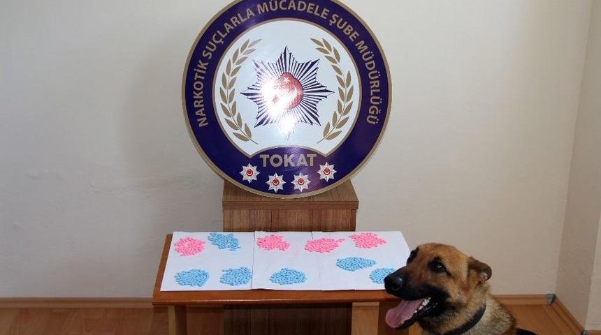 Tokat Merkezli Uyuşturucu Operasyonunda 12 Kişi G&ouml;zaltına Alındı