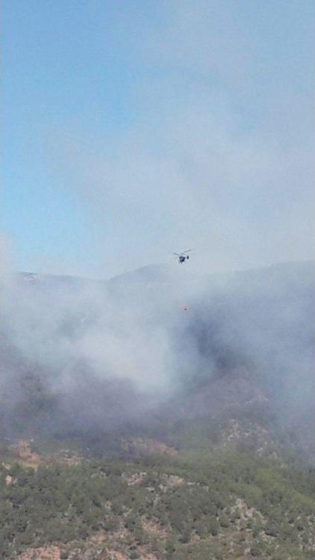 Alanya’da Orman Yangını 1