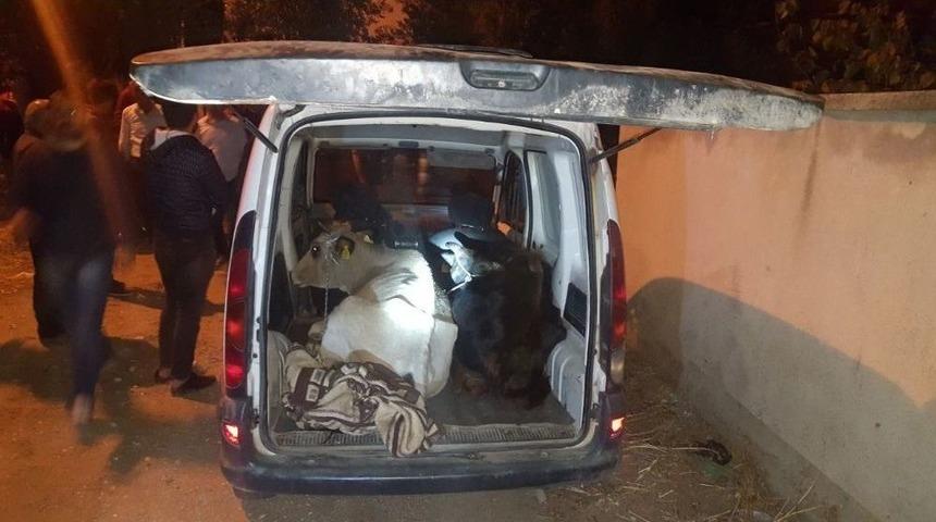 Jandarmanın Ş&uuml;phesi Hırsızları Ve Uyuşturucu Tacirini Yakalattı