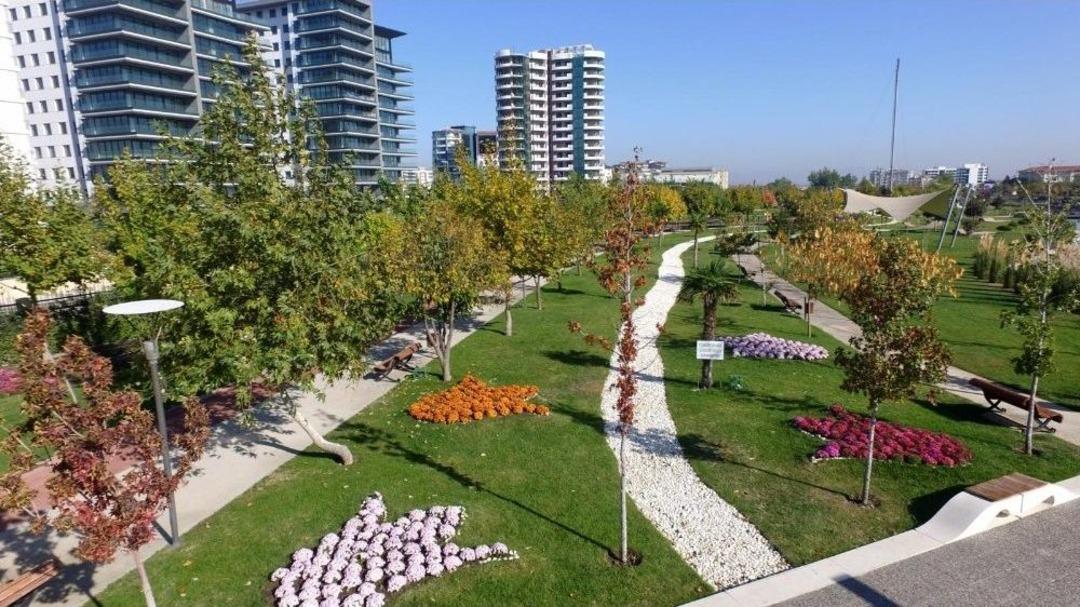Kasımpatılar Manisa&rsquo;yı Renklendirdi
