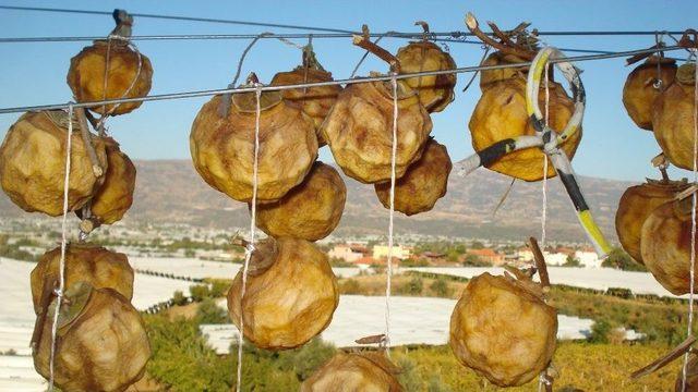 Sarıg&ouml;l&rsquo;de Cennet Elmasının Kurutulmasına Başlandı 1