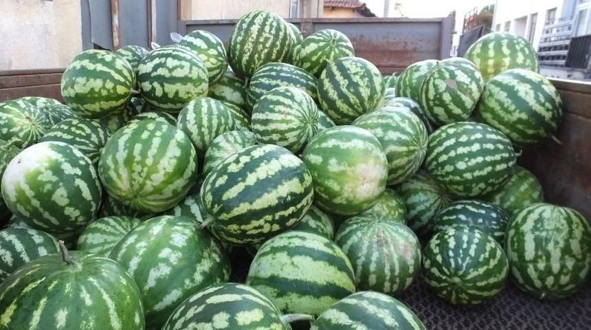 Burhaniye&rsquo;de G&uuml;z Karpuzu &Uuml;reticinin Y&uuml;z&uuml;n&uuml; G&uuml;ld&uuml;rd&uuml;