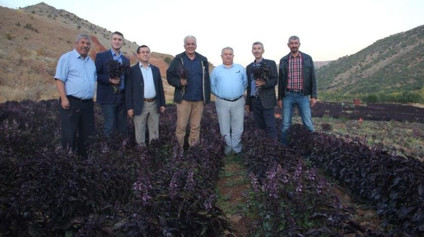 T&uuml;ba &Uuml;yeleri Arapgir&rsquo;de İncelemelerde Bulundu