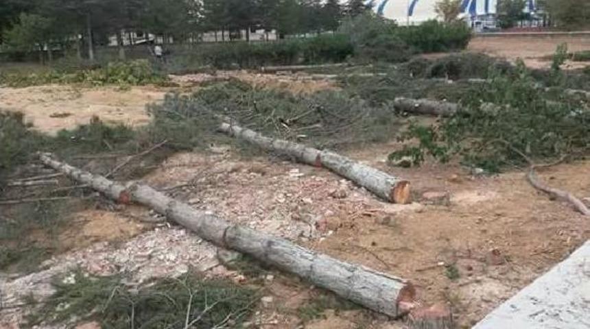 Meteoroloji G&ouml;zleme Istasyonunun Veri &Uuml;retmesi I&ccedil;in Ağa&ccedil;lar Kesildi