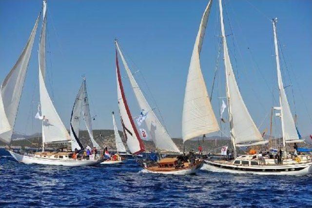 Yapılaşmaya Tepki I&ccedil;in G&ouml;rsel Ş&ouml;len Sundular 1