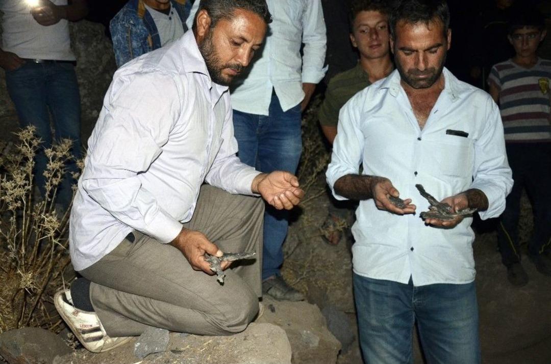 Siverek Kırsalında Top Mermisi Bulundu