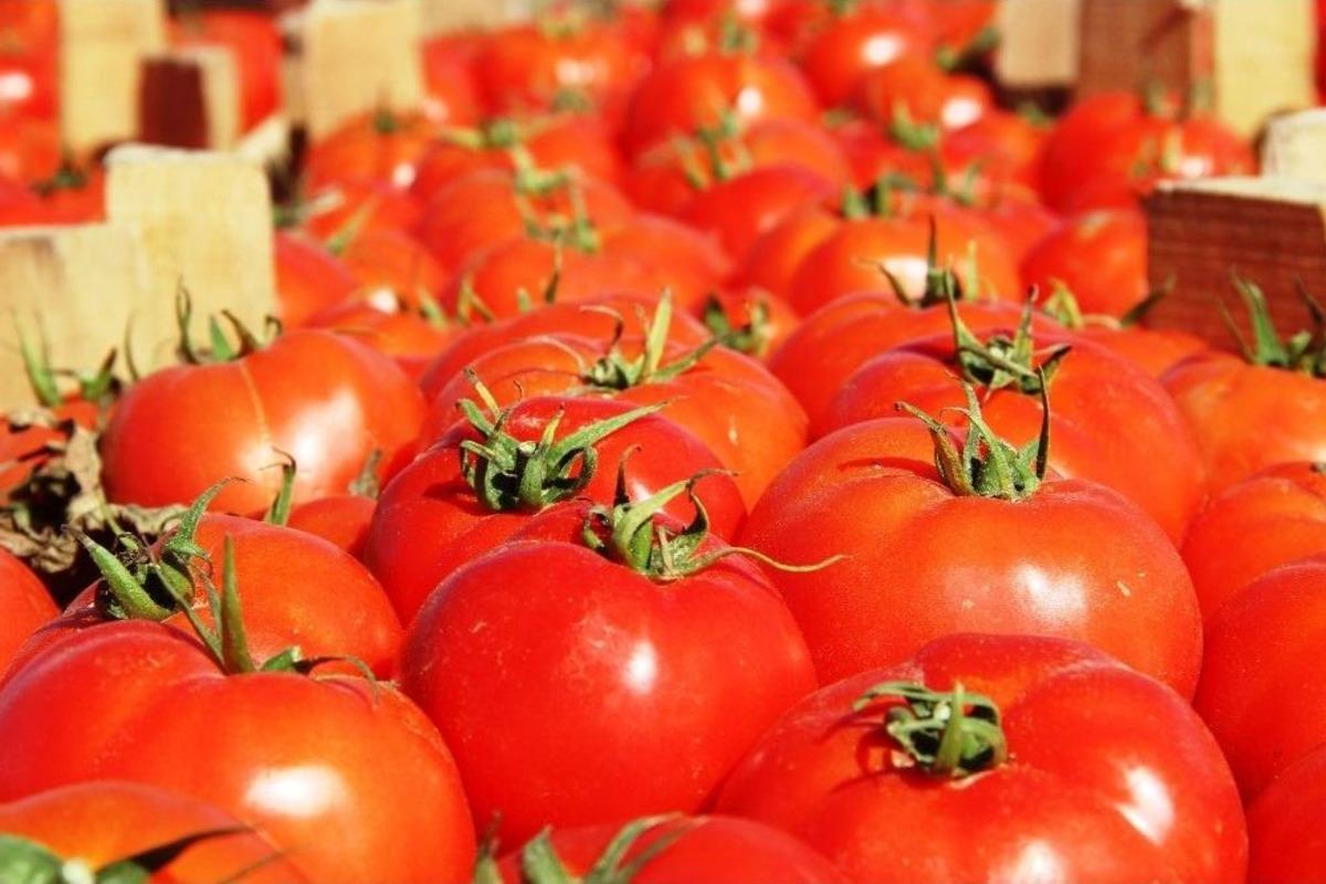 Meşhur &Ccedil;anakkale Domatesi 10 G&uuml;nde 3 Kat Zamlandı