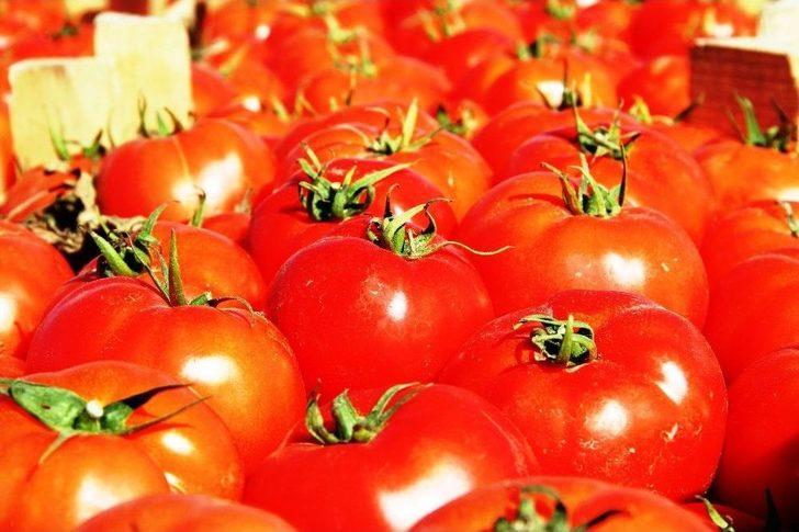 Meşhur Çanakkale Domatesi 10 Günde 3 Kat Zamlandı G4