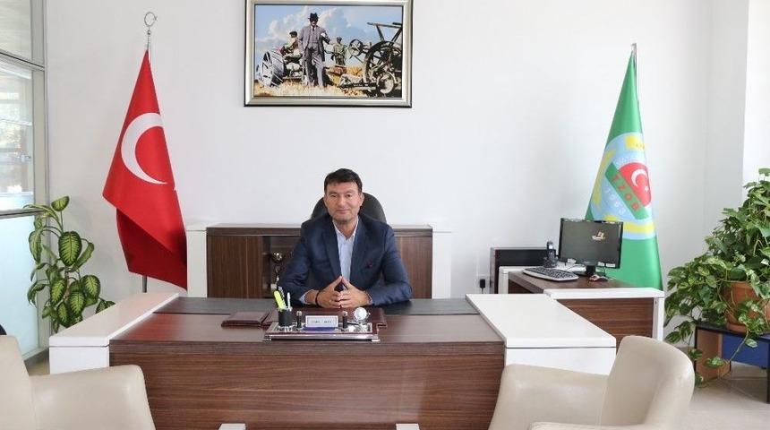 Akın, Zeytin Hasadı Öncesi Çiftçileri Uyardı