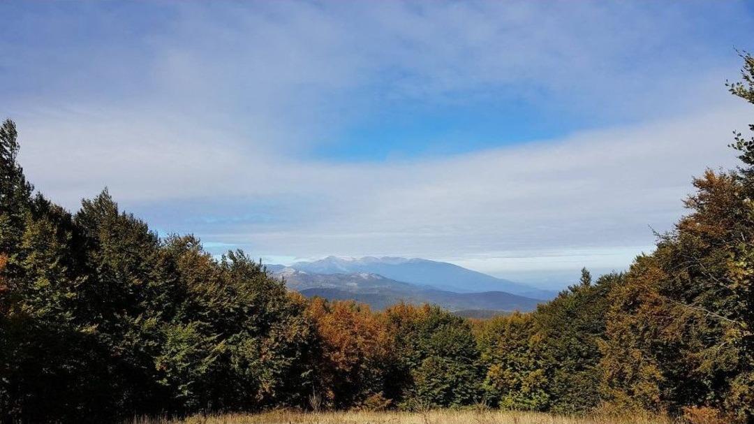 Bursalı Dağcılar Domani&ccedil; Ormanları&rsquo;nda