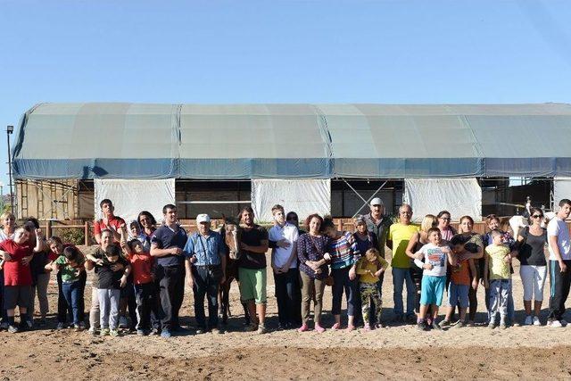 &Ouml;zel &Ccedil;ocuklar İ&ccedil;in Atlı Terapi 2