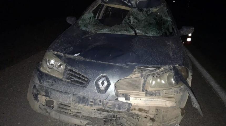 Bing&ouml;l&rsquo;de Başıboş Atlar Kazaya Neden Oldu: 4 Yaralı