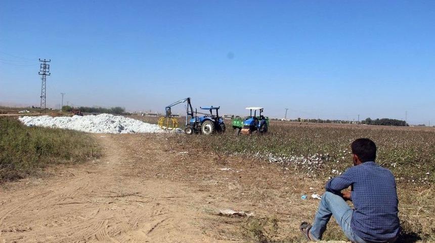 Pamuk Yığını İ&ccedil;erisinde &Ouml;len &Ccedil;ocukların Havasızlıktan Boğulduğu İddia Edildi
