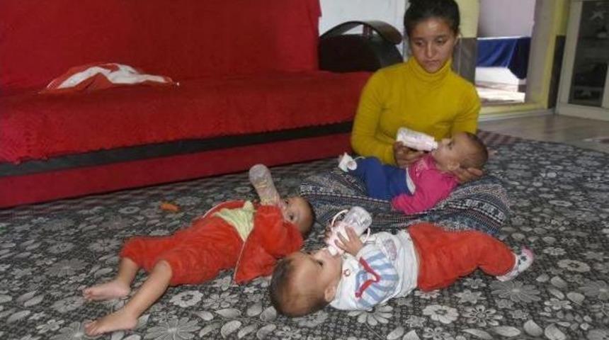 Sereng&uuml;l, 13 Aylık &Uuml;&ccedil;&uuml;zleriyle Ortada Kaldı