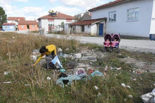 Sereng&uuml;l, 13 Aylık &Uuml;&ccedil;&uuml;zleriyle Ortada Kaldı 3